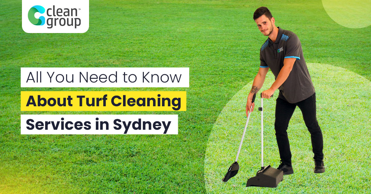 artificial turf cleaning, grass cleaning and lawn cleaning